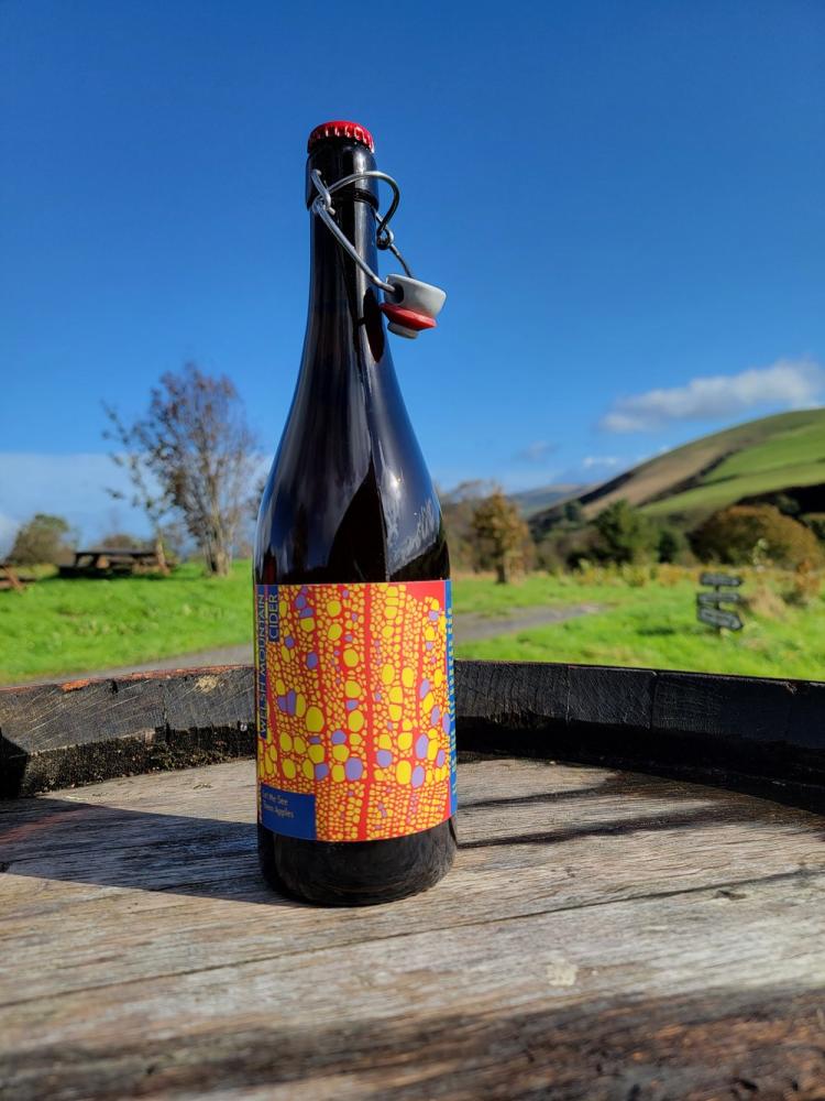 Welsh Mountain Cider, Let Me See Them Apples