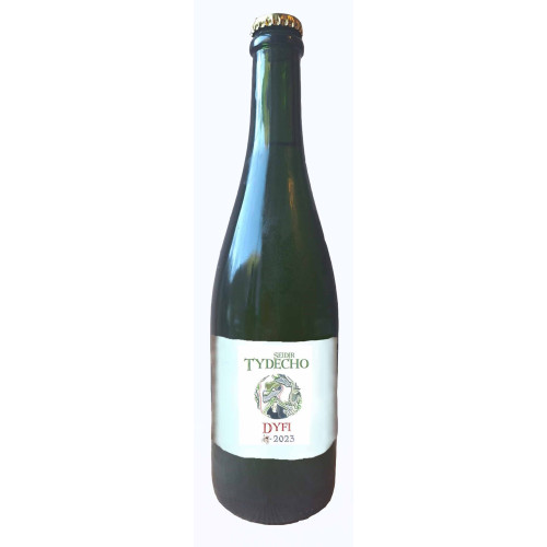 Tydecho, Dyfi