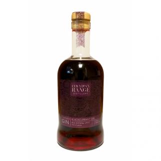 Clwydian Range, Blackcurrant Gin 500ml bottle 40% ABV