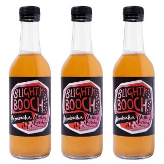 Blighty Booch Kombucha Nettle & Rosehip 6 x 330ml bottle