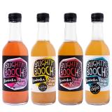 Blighty Booch Kombucha Mixed Case 12 x 330ml bottles