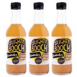 Blighty Booch Kombucha Ginger 6 x 330ml bottles
