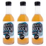 Blighty Booch Kombucha Original Organic 12 x 330ml bottles